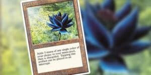 black lotus magic